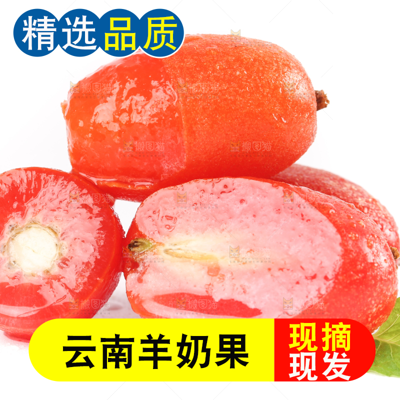 白底上的云南羊奶果