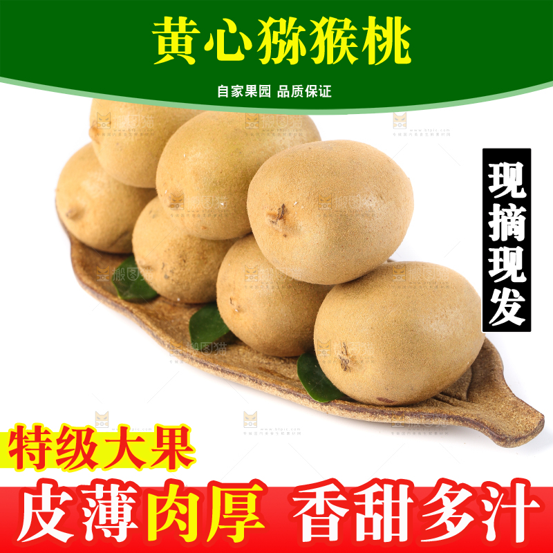 白底上的新鲜猕猴桃