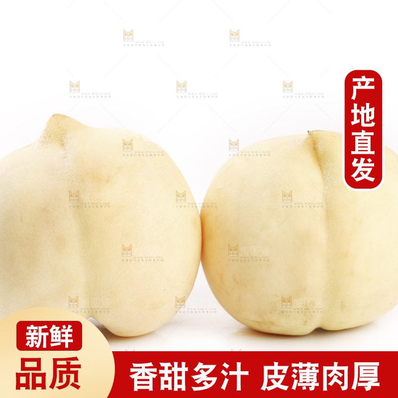白底上的蒙阴白桃