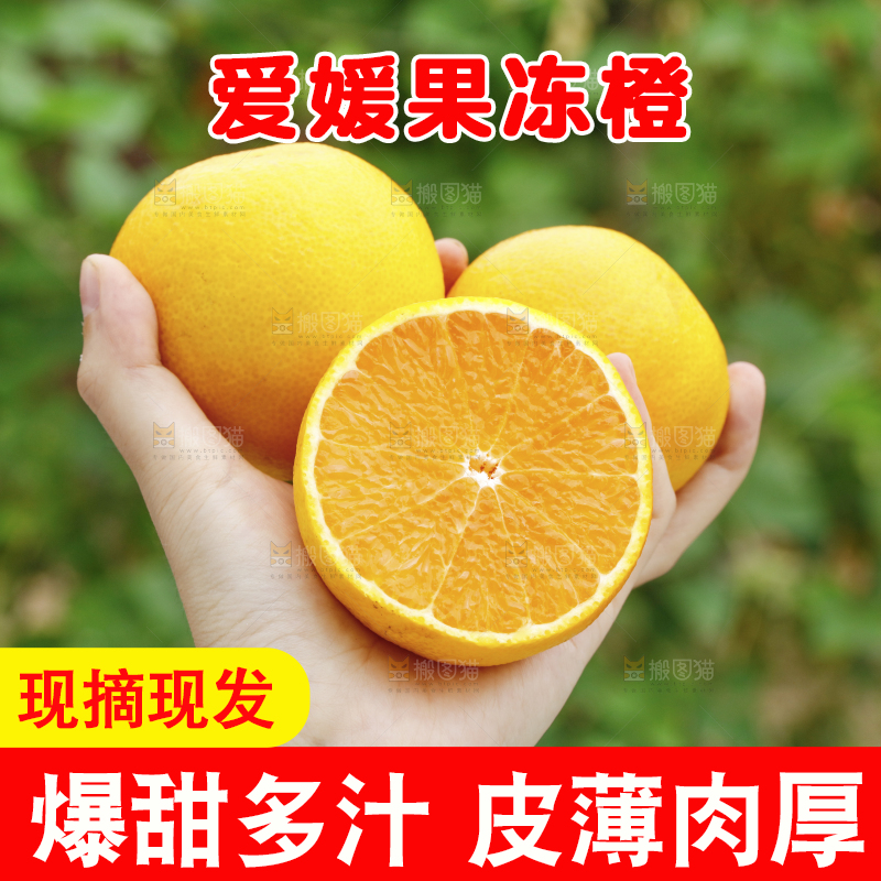 手里拿着爱媛38号