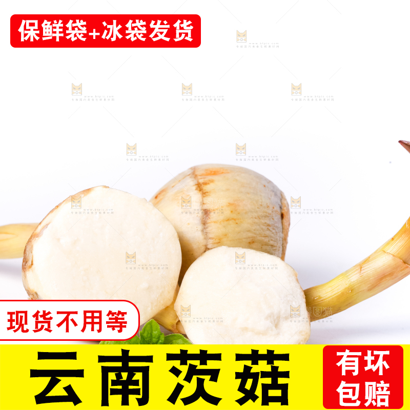 白底上的新鲜茨菇
