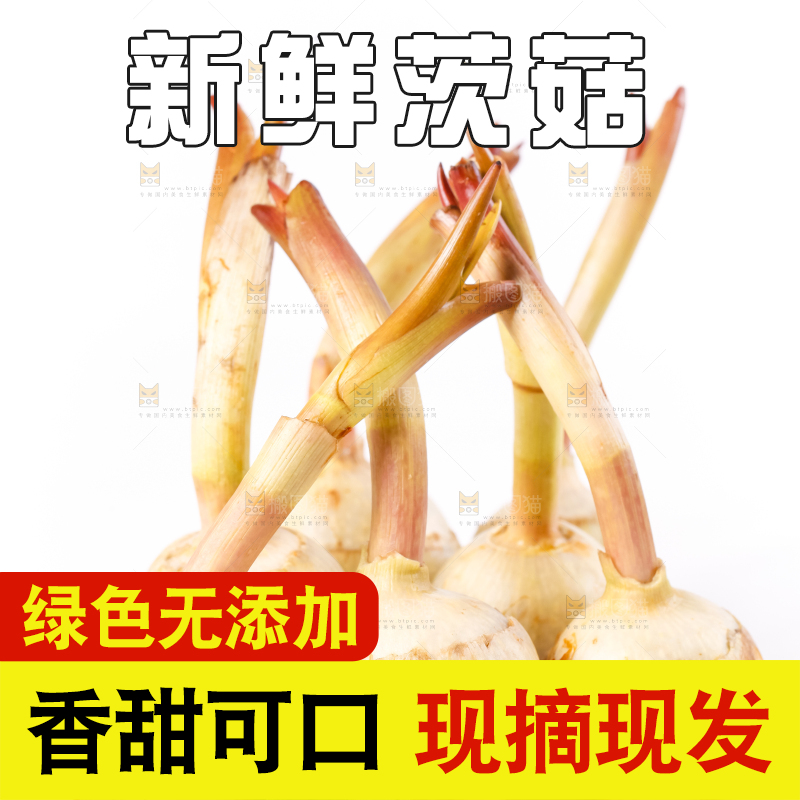 白底上的新鲜茨菇