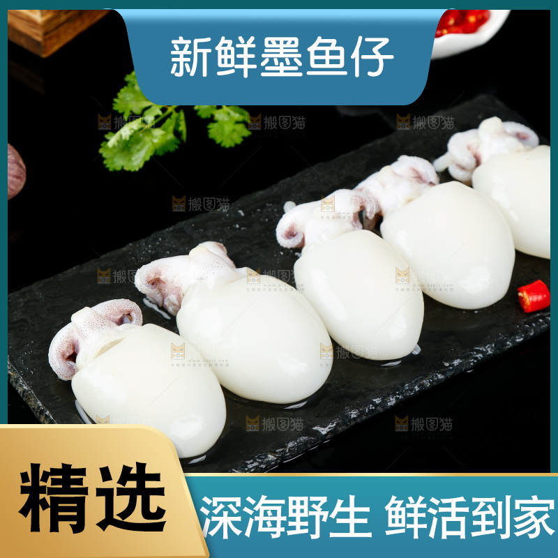 黑底上的新鲜墨鱼仔