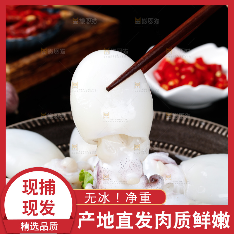 筷子上夹着小墨鱼仔