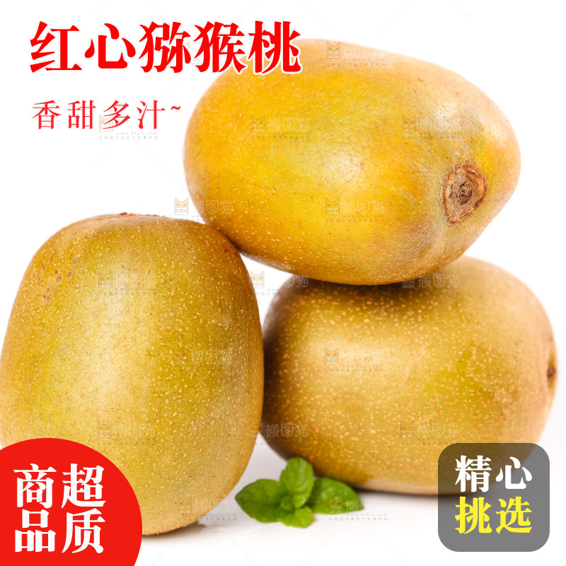 白底上的新鲜猕猴桃