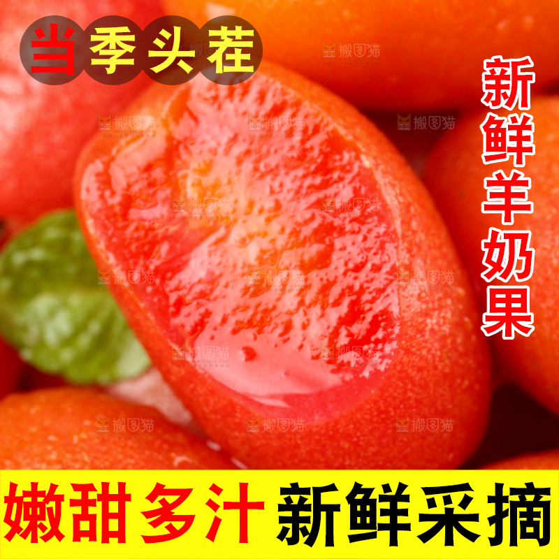 羊奶果纹理