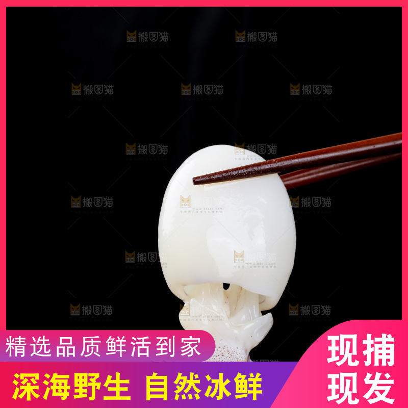 筷子上夹着小墨鱼仔