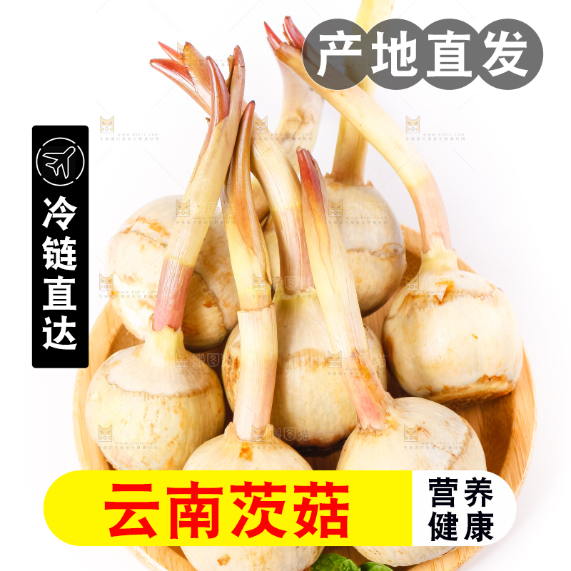 白底上的一盘新鲜茨菇