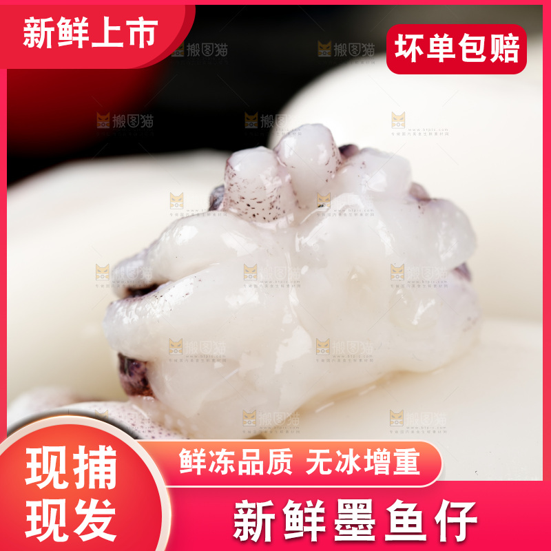一堆去皮去内脏墨鱼仔