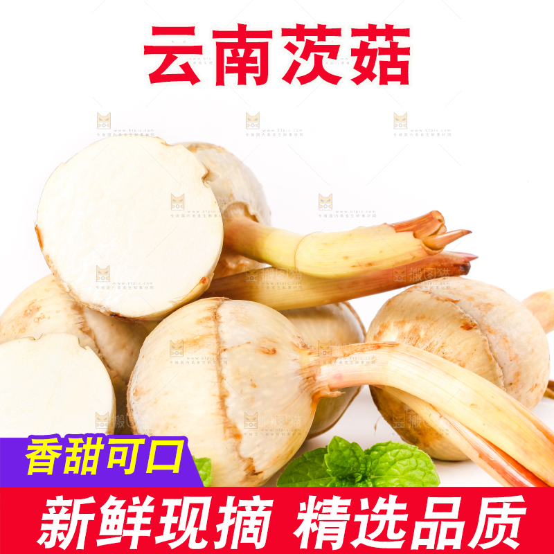 白底上的新鲜茨菇