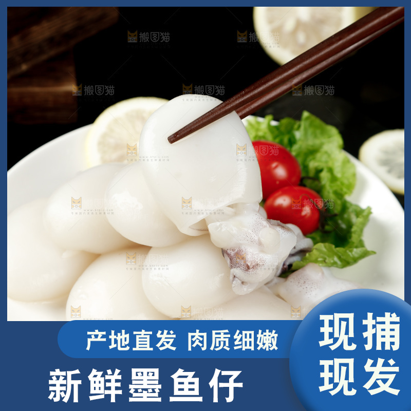 筷子上夹着小墨鱼仔