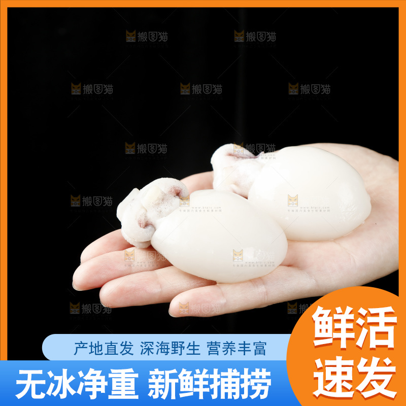 手里拿着小墨鱼
