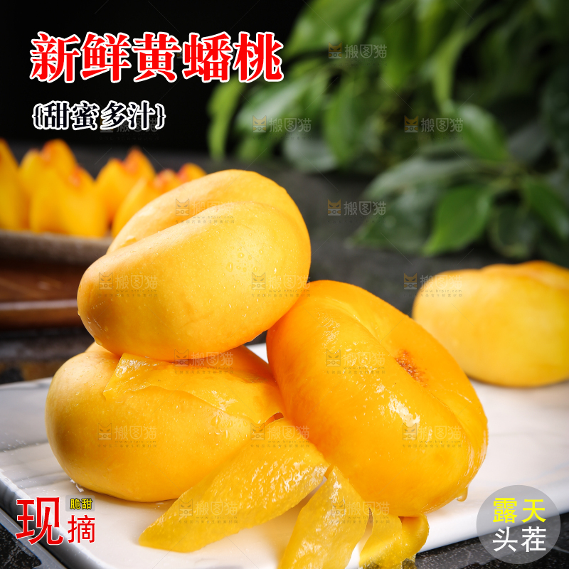 白石板上的黄蟠桃