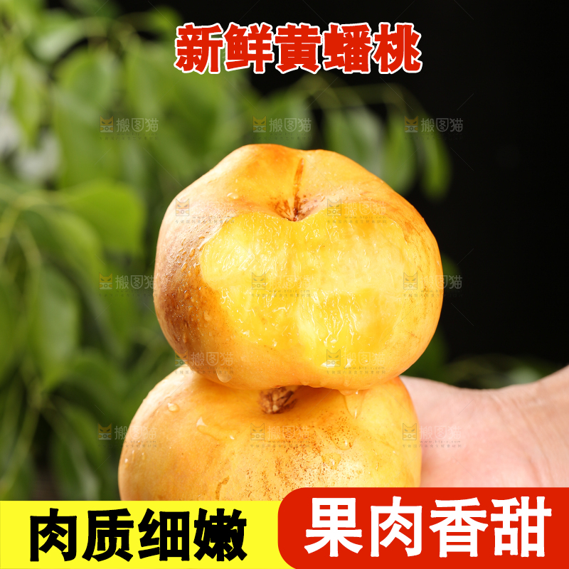 手上拿着黄油蟠桃