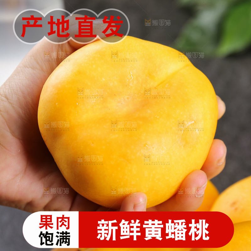 手拿着的黄蟠桃
