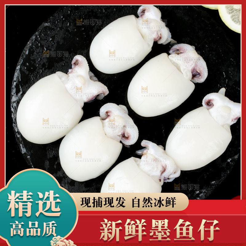 黑底上摆放着小乌贼
