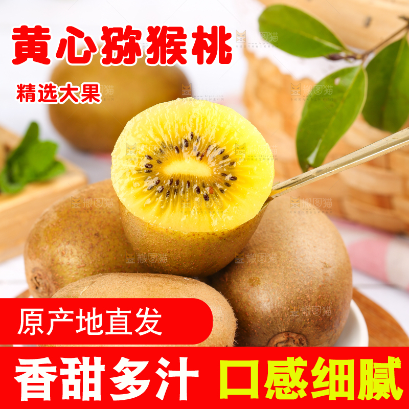 勺子上的黄心猕猴桃果肉