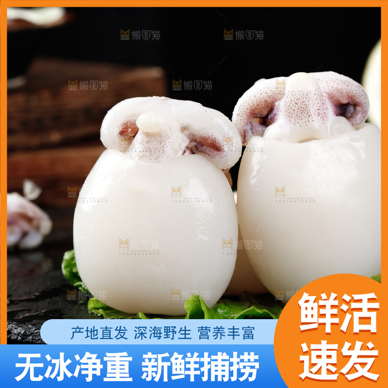 黑底上的鲜冻墨鱼仔