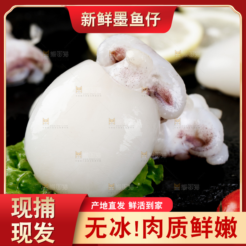 黑底上的鲜冻墨鱼仔