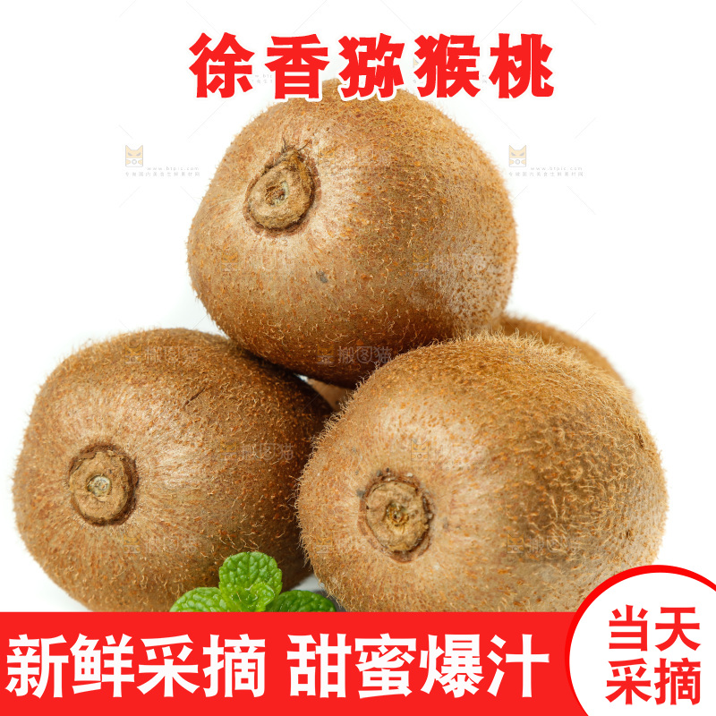 白底上的徐香猕猴桃