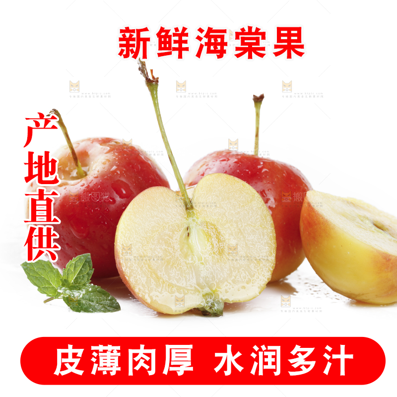 白底上的东北海棠果