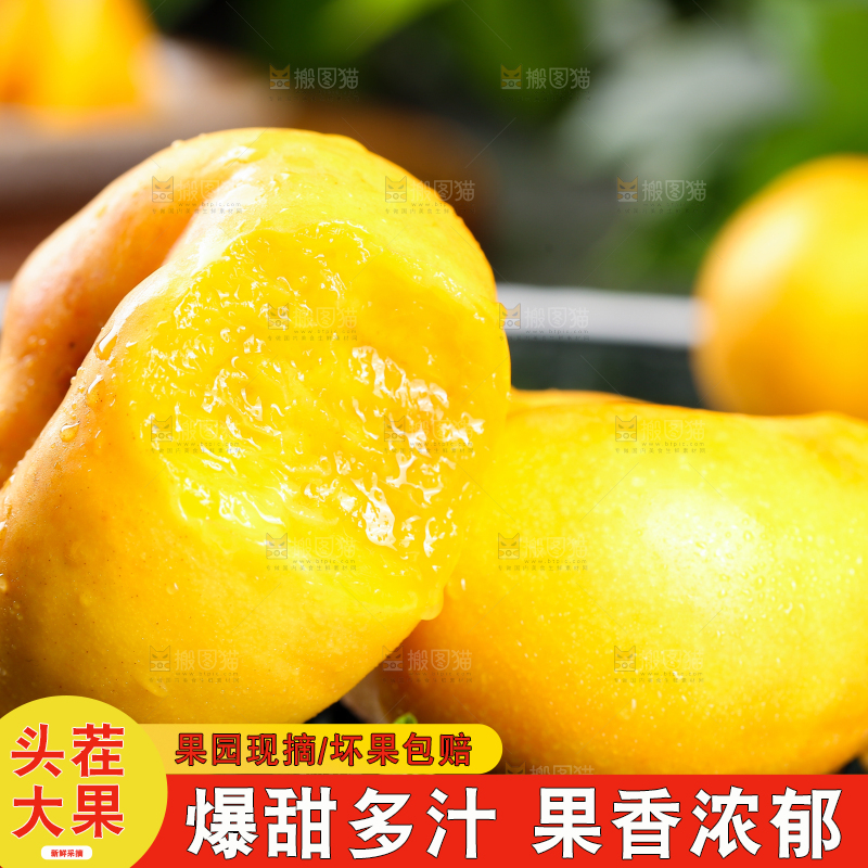 黑底上的黄金蟠桃