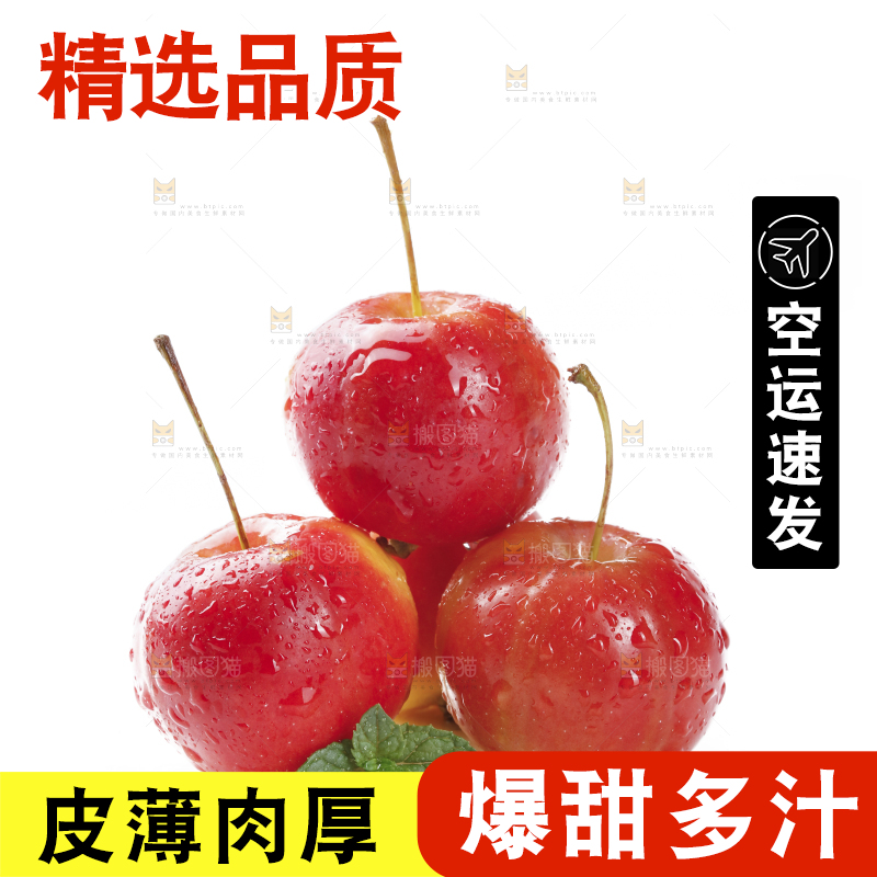 白底上的东北海棠果