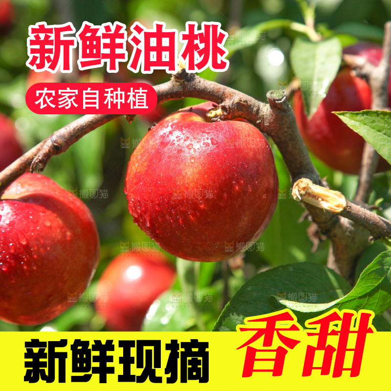 树枝上的油桃