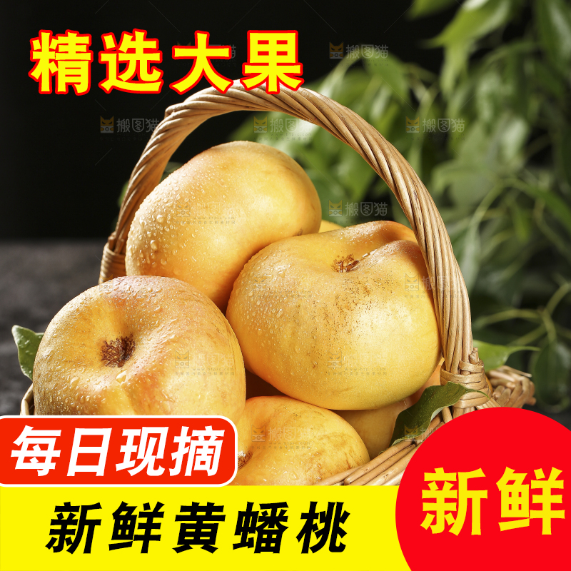 篮子里的黄金油蟠桃