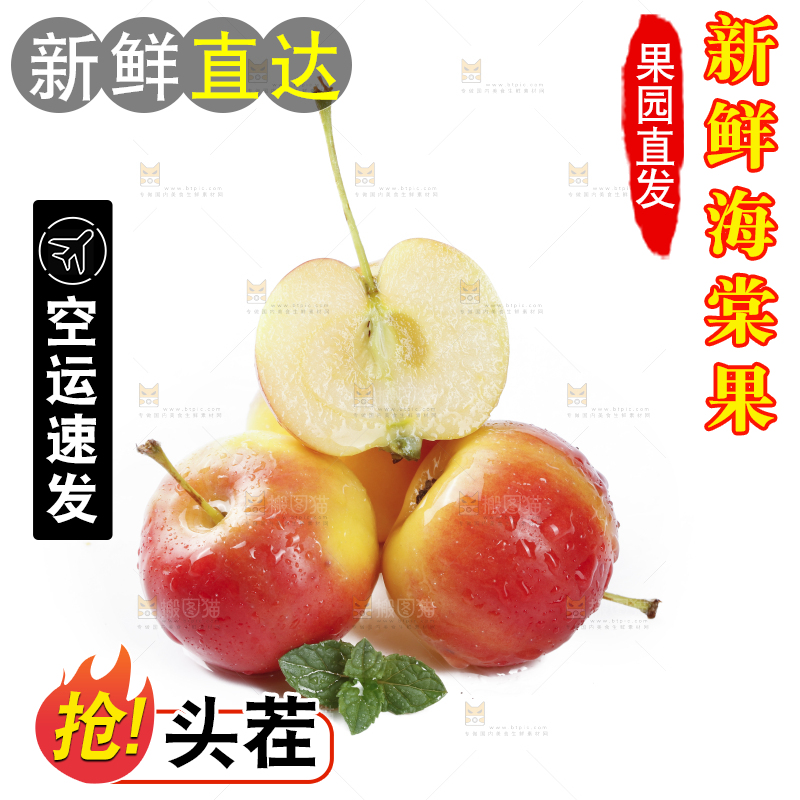 白底上的鸡心海棠果
