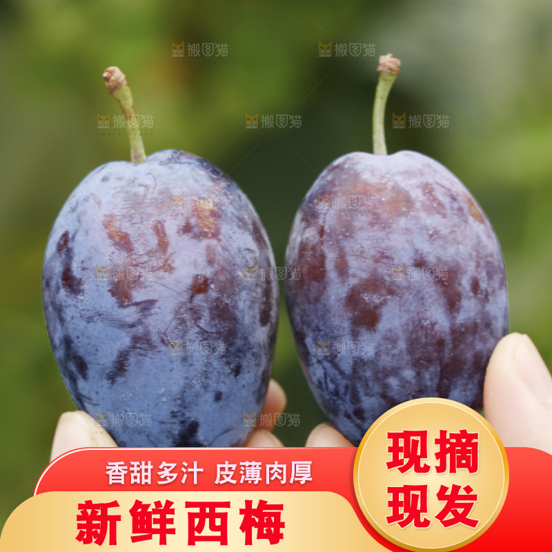 手里拿着新鲜大西梅