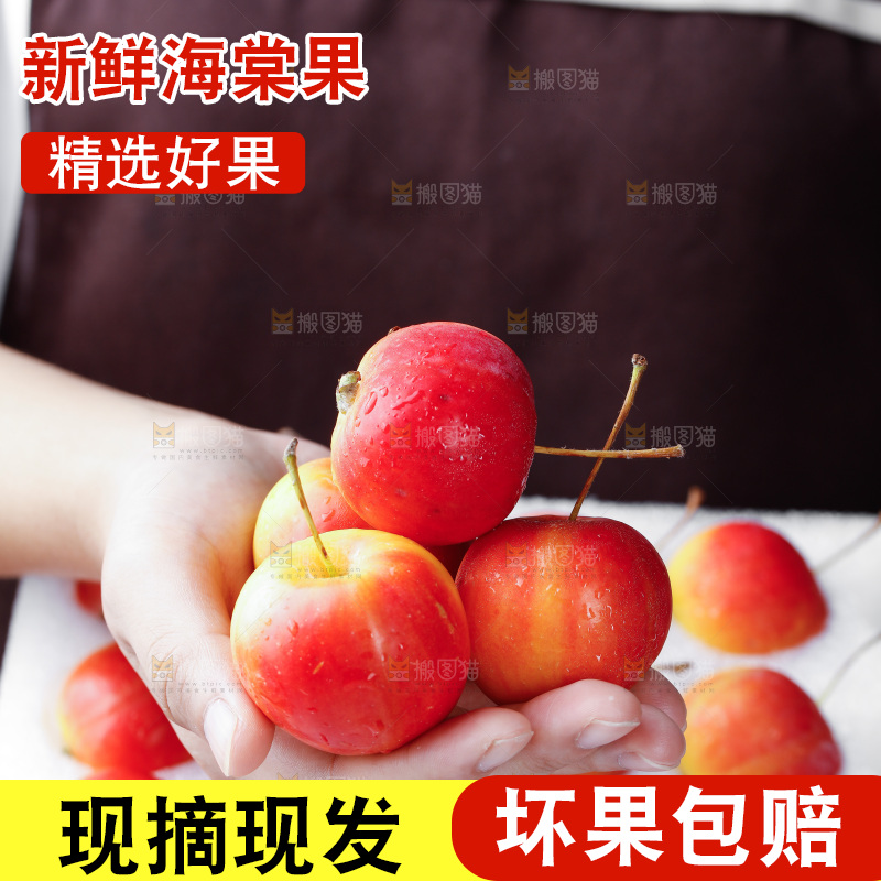 手上放着新鲜海棠果