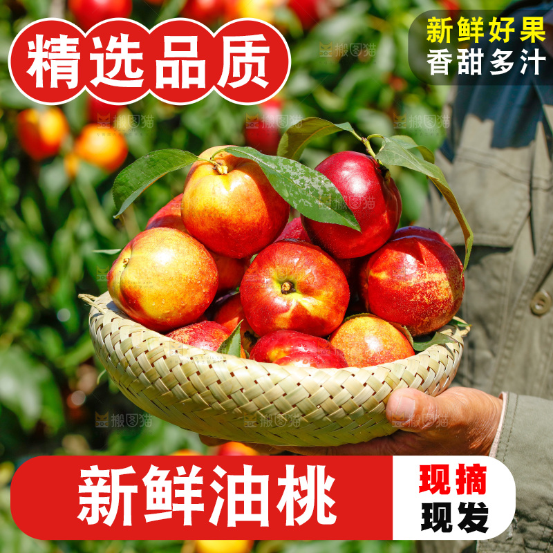 手里拿着一篮新鲜油桃