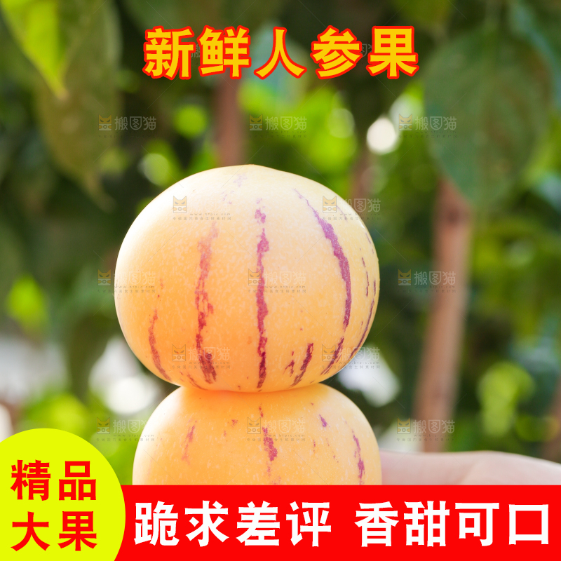 手上拿着人参果