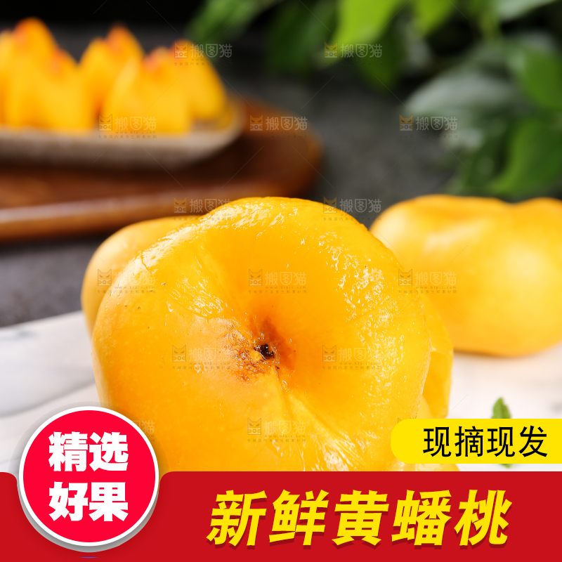 白石板上的黄蟠桃