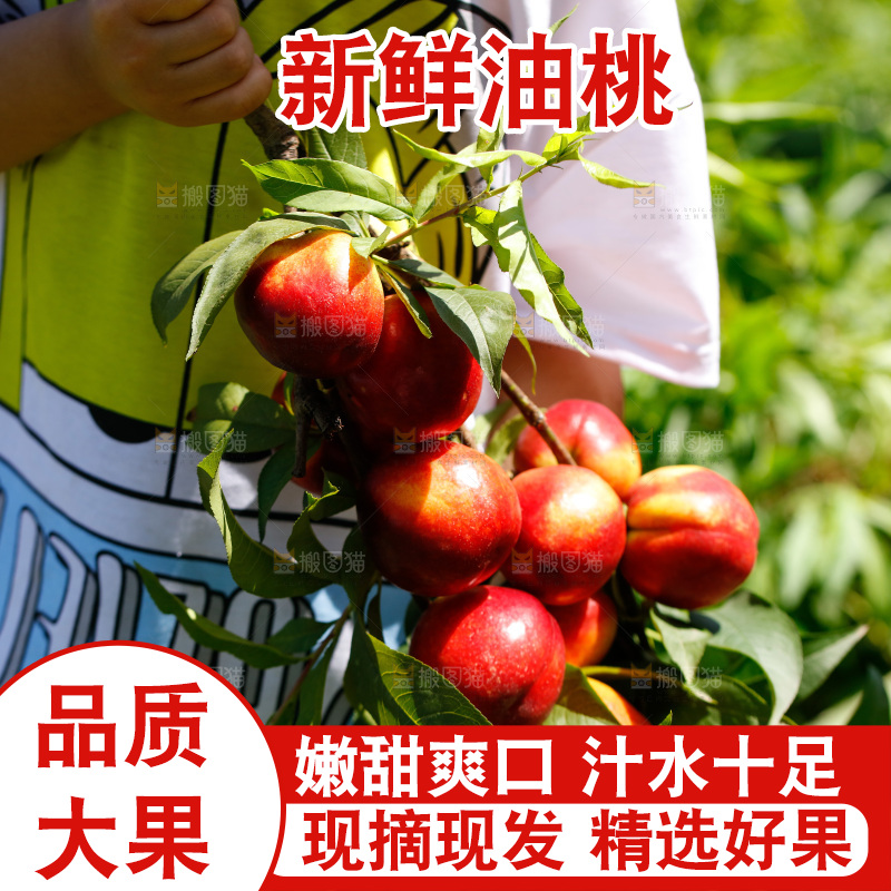 手里拿着一串黄心油桃