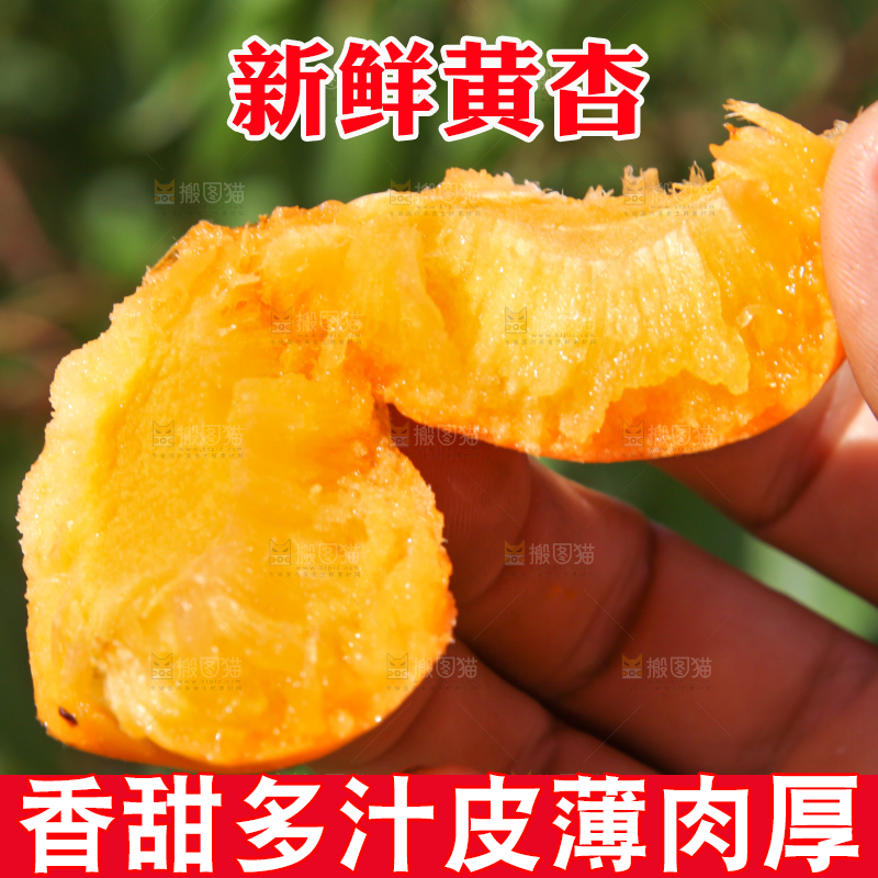手拿着掰开的黄杏