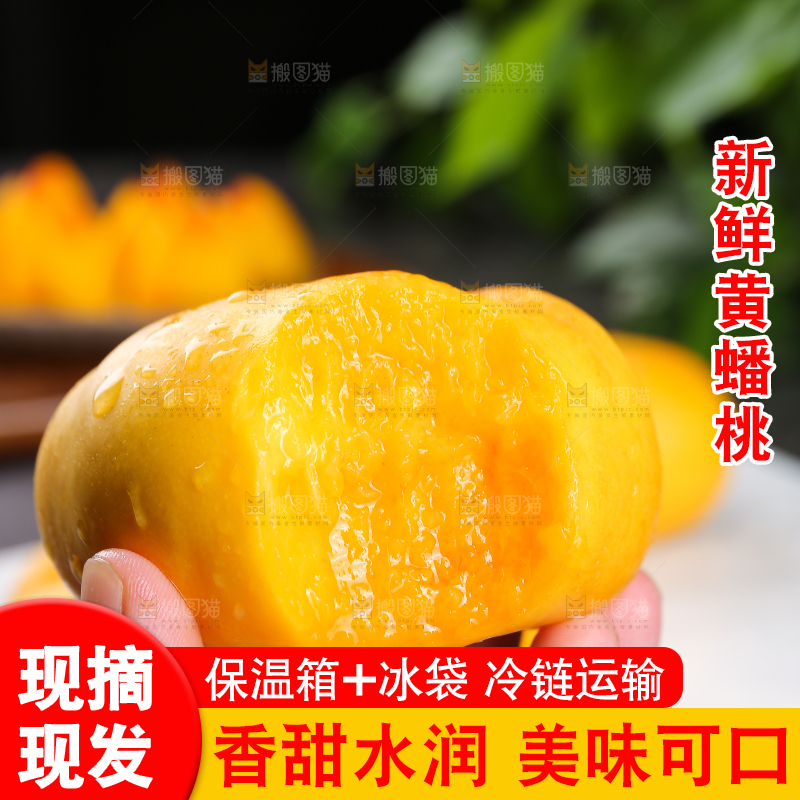 手上拿着黄蟠桃果肉