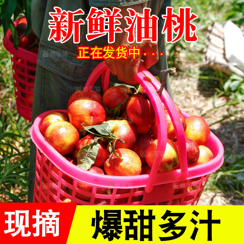 手里提着现摘的油桃
