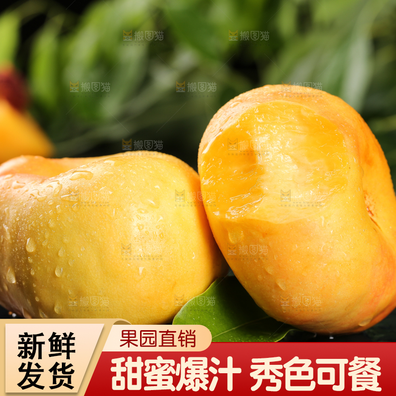 深底上的黄金油蟠桃