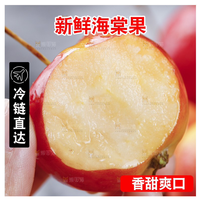 手上拿着东北海棠果
