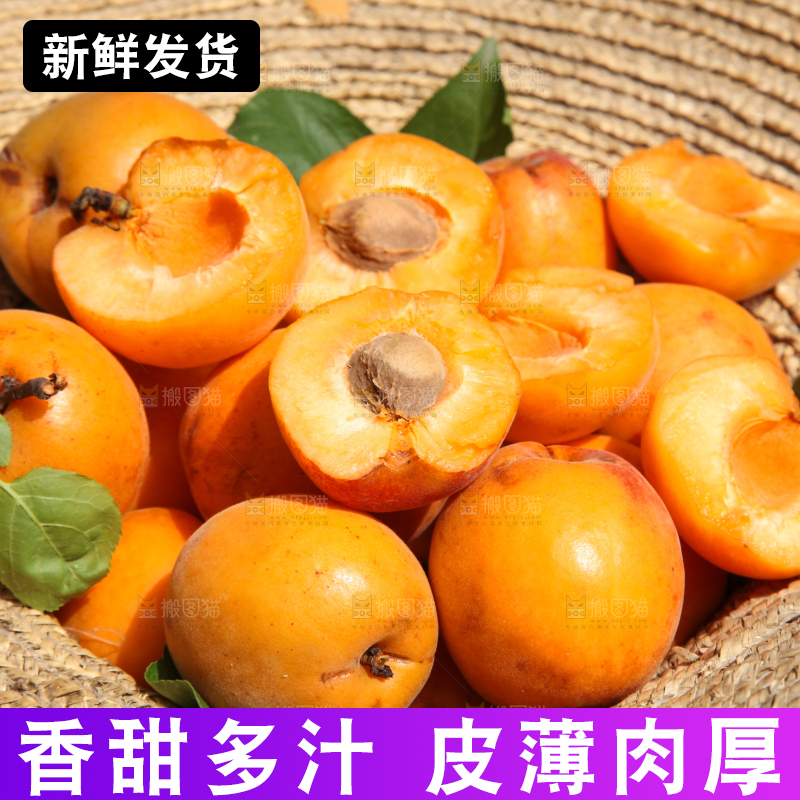 帽子里装着的黄杏