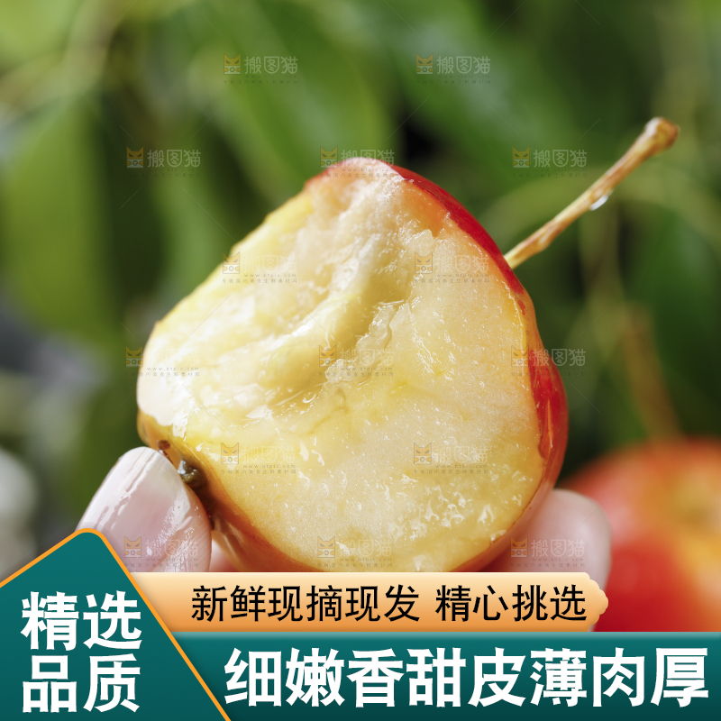 手上拿着东北海棠果