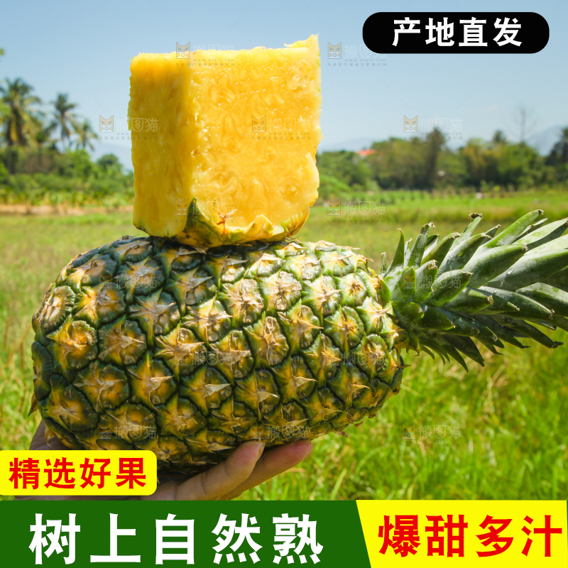 手上拿着削皮的凤梨