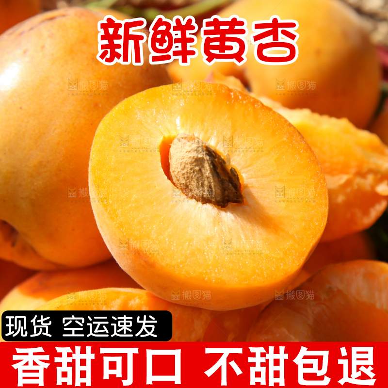 大黄杏纹理特写