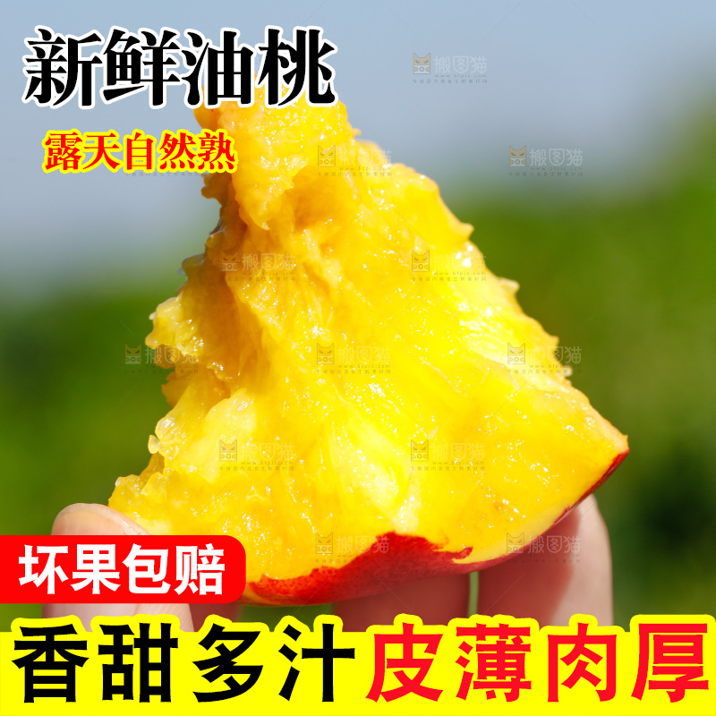 手拿咬开的黄肉油桃