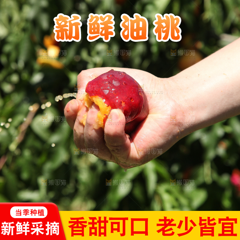 手里爆汁的油桃