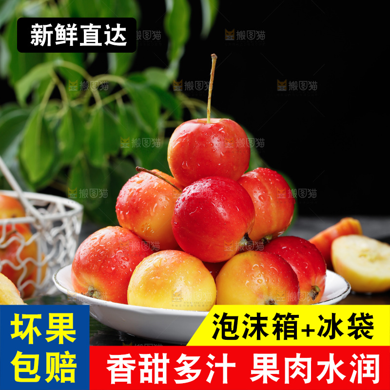 黑底上的一盘海棠果