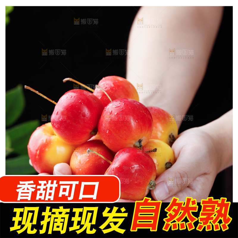 手里捧着新鲜海棠果