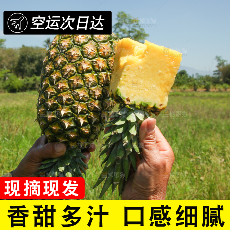 手上拿着削皮的凤梨